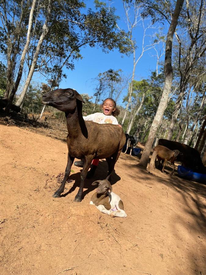 Hotel Fazenda Minas Real Simão Pereira Eksteriør billede